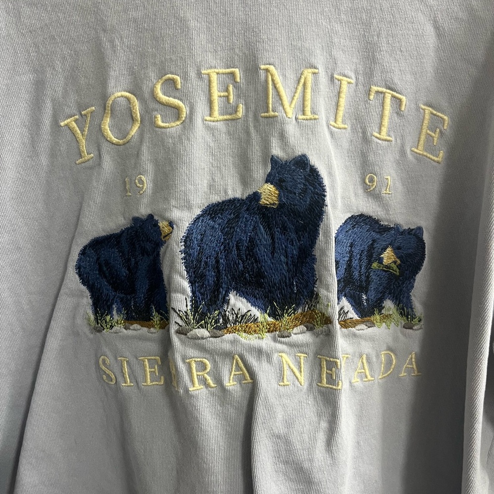 Brandy Melville Gray Yosemite Crop Top - Picture 2 of 5
